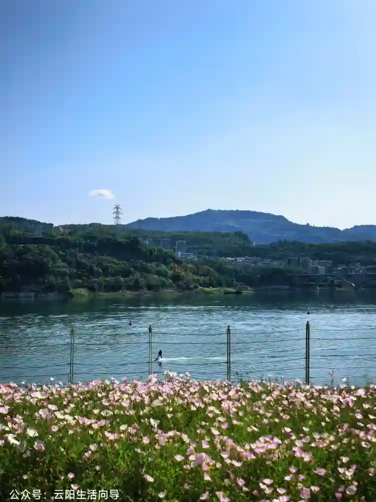 ��������ʿ�����ᡢʥ���޵ذ塢�������ɵ����������� �����ش�